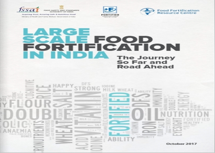 Large Scale Food Fortification